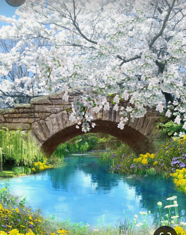 Screenshot_20240305_223358_Pinterest