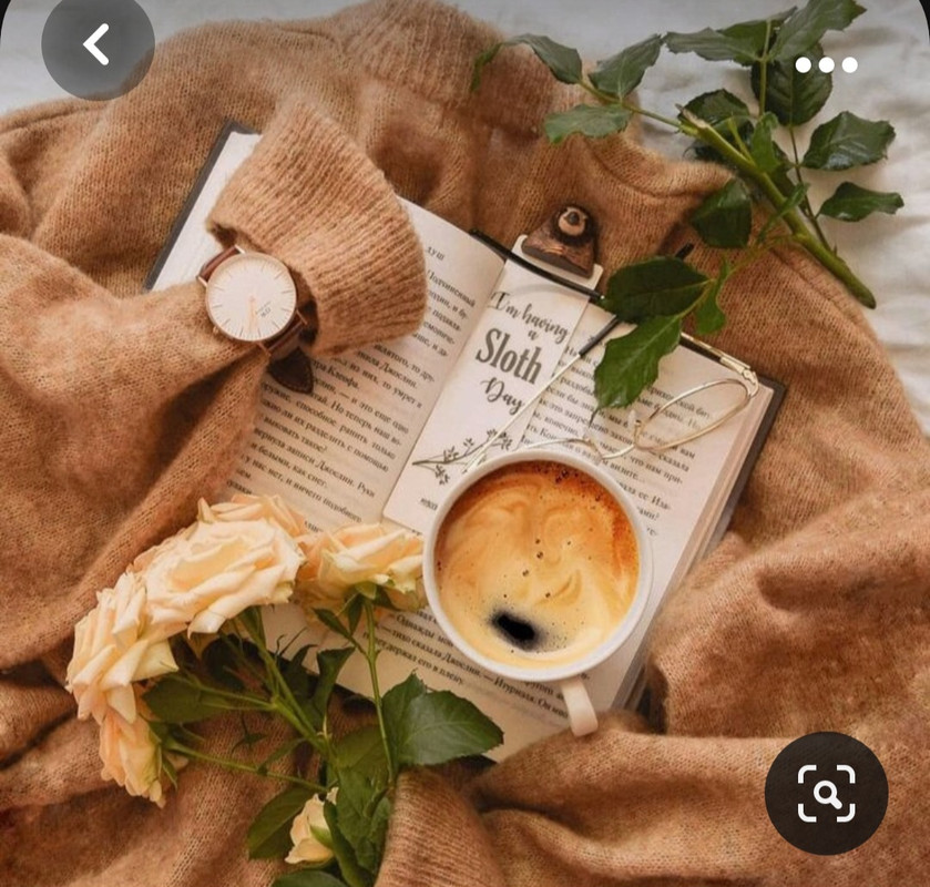 Screenshot_20231031_220009_Pinterest