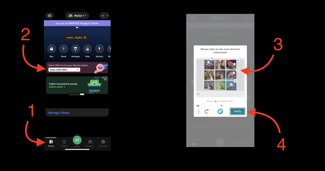 Снимок экрана 2024-08-23 в 17.53.05