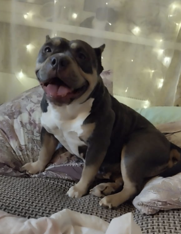 Снимок экрана 2024-04-30 в 22.51.35