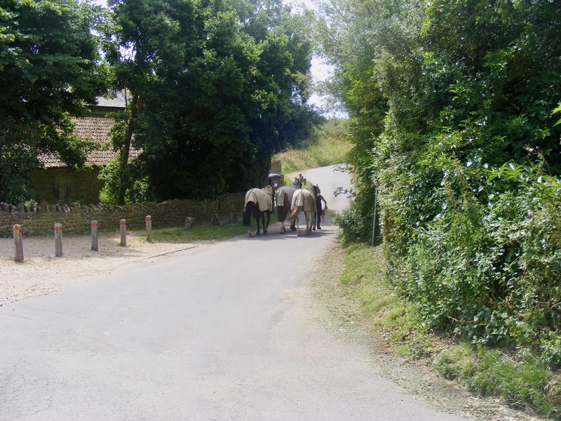 DSCF8239.jpg