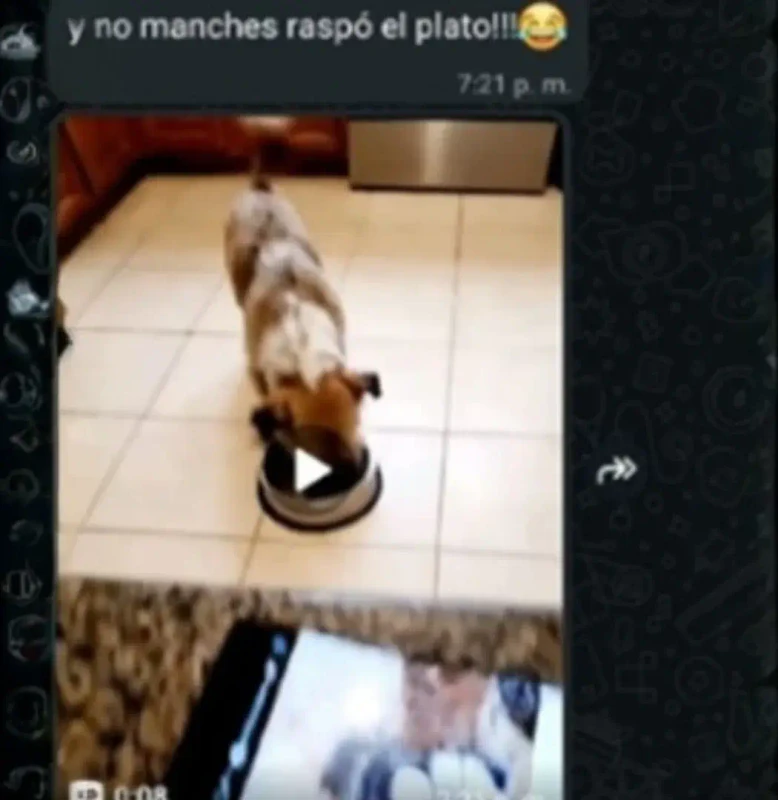 Plato vacío