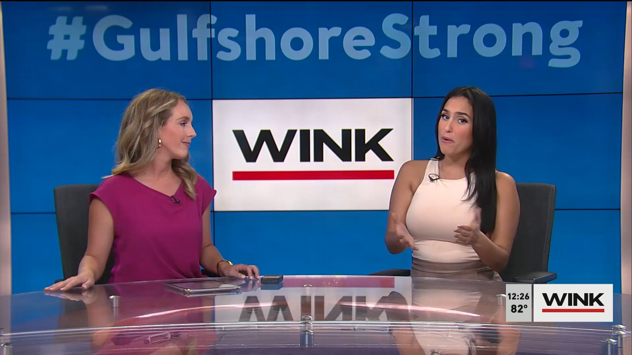 10.14 - 17.00.00 - The WINK Noon News  ᴺᵉʷ. Midday news update..ts_snapshot_32.37.952