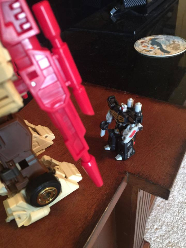 11208637_665436870222486_6863298523249067395_n