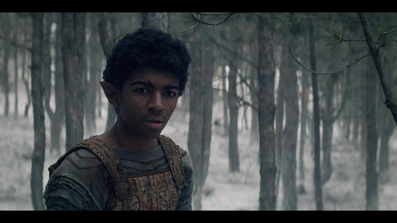 The Witcher (2019) S01E06 Rare Species (1080p NF Webrip x265 10bit EAC3 5.1 Atmos - Goki)