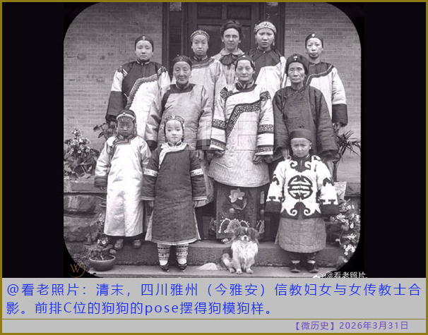 https://i.postimg.cc/3JcjbR46/20260331-ls-(10).jpg
