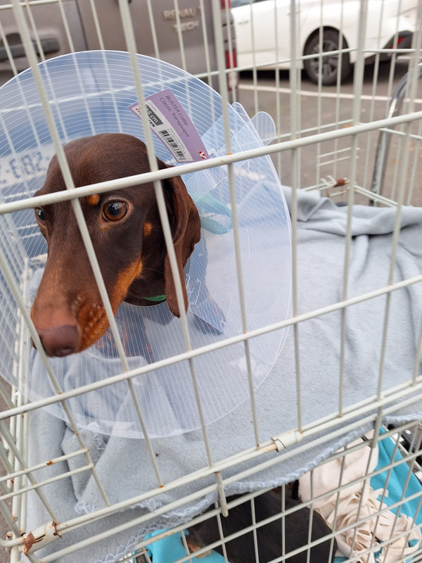 [Image: 20240215-170834.jpg]