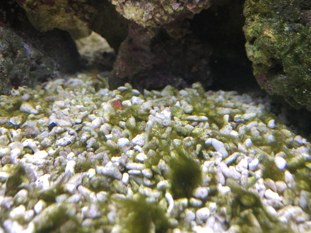 06575F91-CA2B-4680-8F7B-32A6E9BF88FA