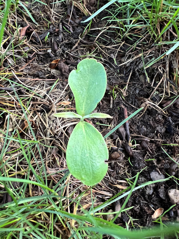 2D649F19-738D-4A76-972D-32CFC014F062