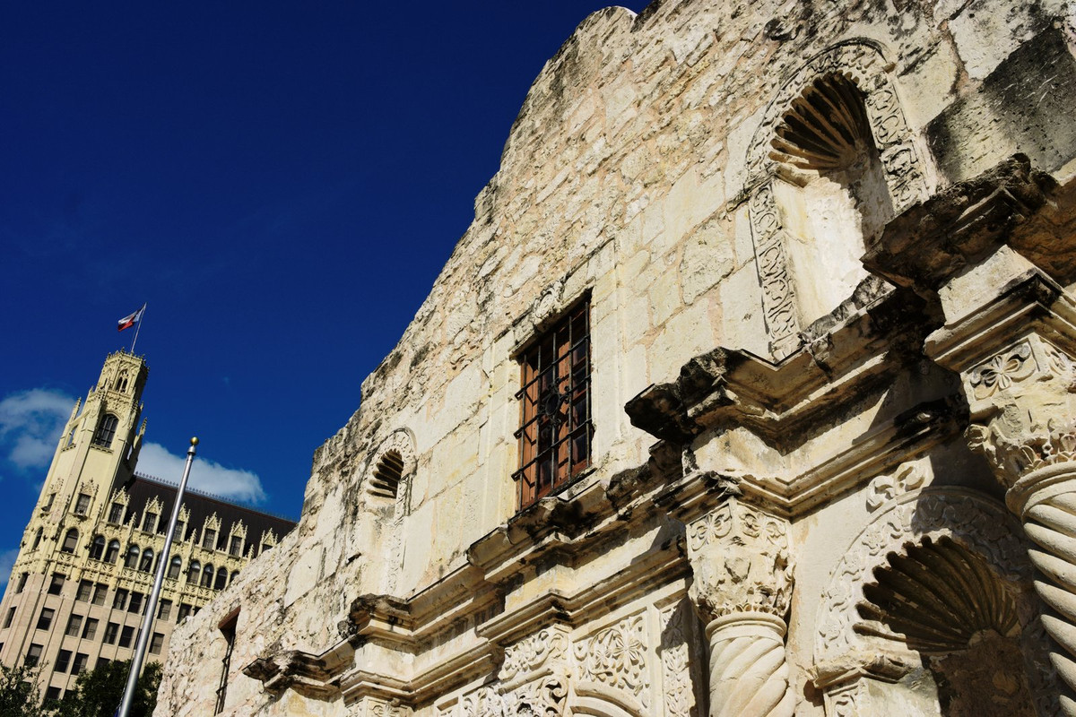 Alamo WIndow
