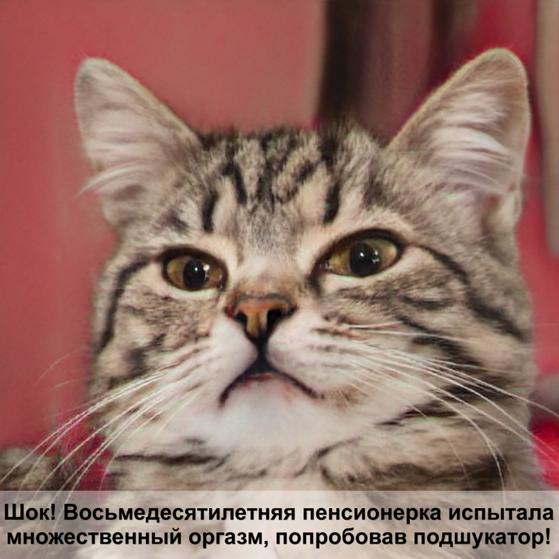 какая кошка самая вкусная