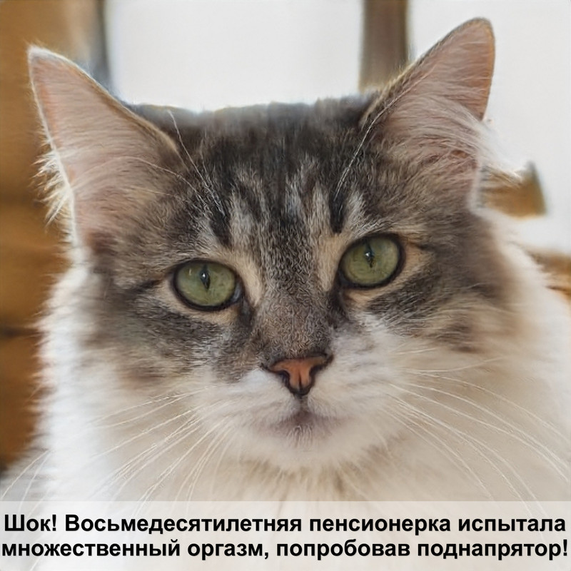 самая большая кошка саванна