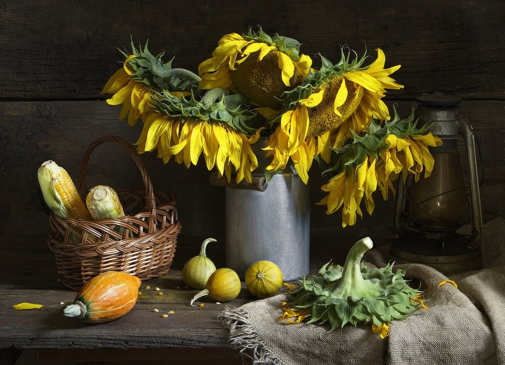 yellow-still-life-851297-1280.jpg