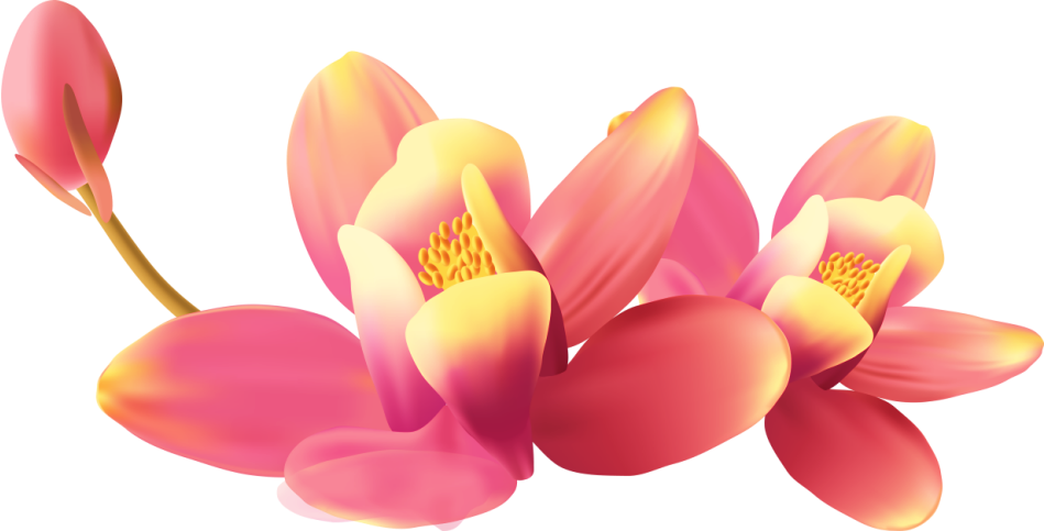 BIBI-PINK ANGEL ELEMS (102)