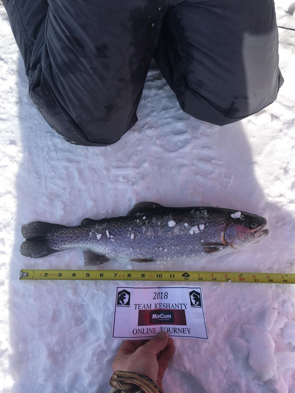 johns18trout