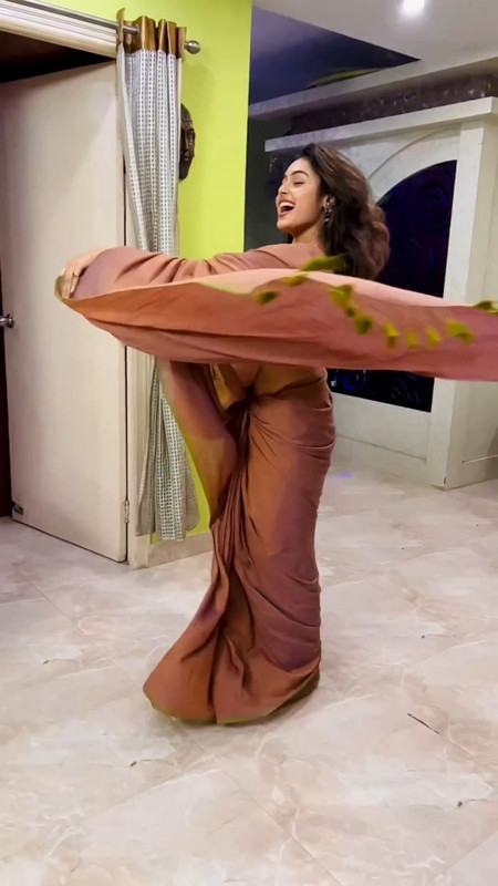 Moksha secy navel in brown saree.mp4_snapshot_00.00.603