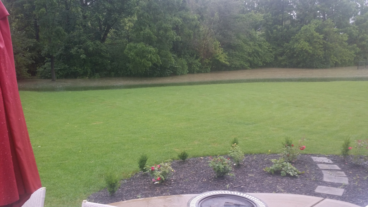 July 11, 2017 at 0224PM