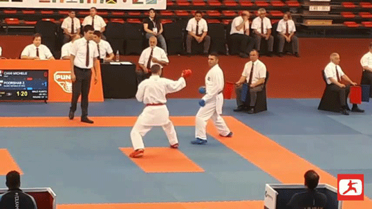 Karate-grab-punch.gif
