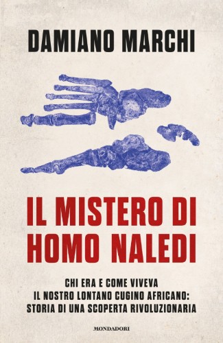 Damiano Marchi - Il mistero di Homo naledi (2016)