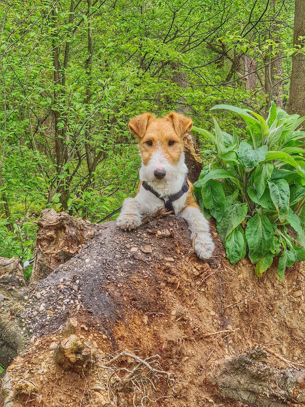 63E2F226-FDFE-480E-BE1D-C314D9A06504