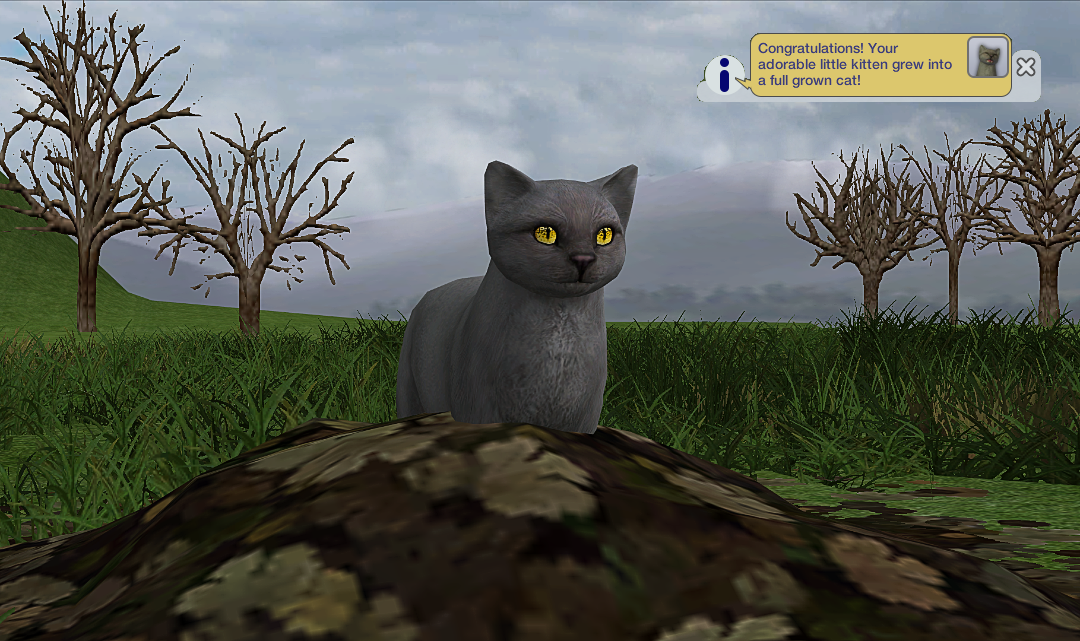 Greenshot_2025_10_25_20_17_11