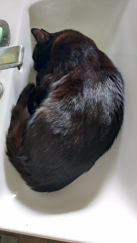 IMG_20250612_121431872_HDR