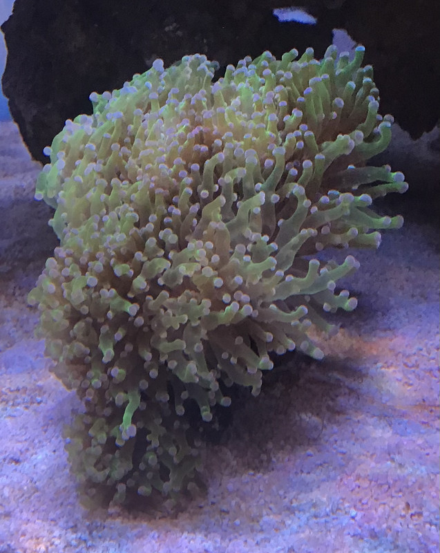 33386CB7-1DE8-48AF-9E20-F7255F53BBC2