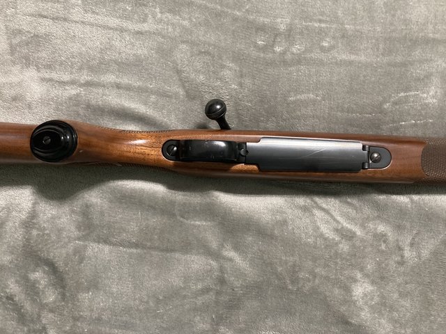 319B522C-5298-4574-BEB9-B2D858120064