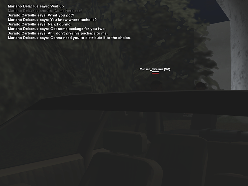 SS1.png