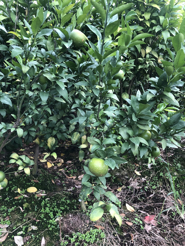 微信图片_20241030153326