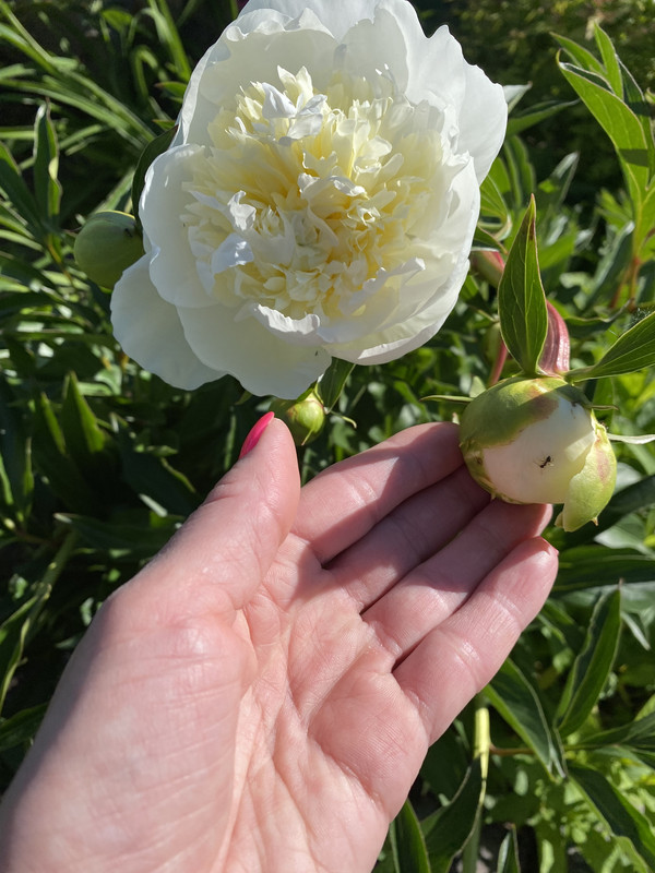 471C6EC3-B68E-4B44-871E-F4D97BBD760B