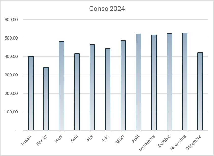 conso Elec 2024