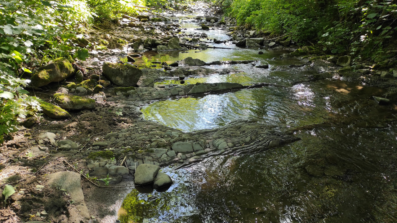 07.17 - IMG_20220618_160445 (Czesio1)