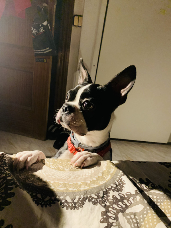 9F98B1B3-205D-42B4-B9DD-BD33ADEB58DF