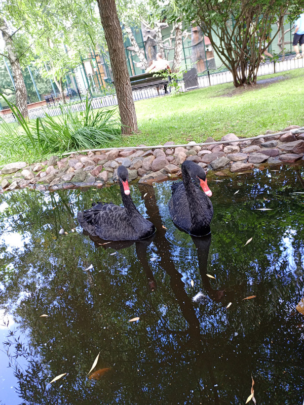 IMG_20240728_161921_673