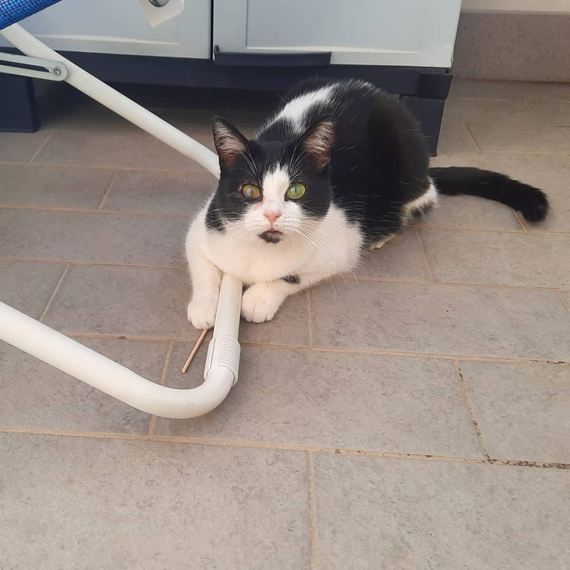 IMG_20210227_114107_353