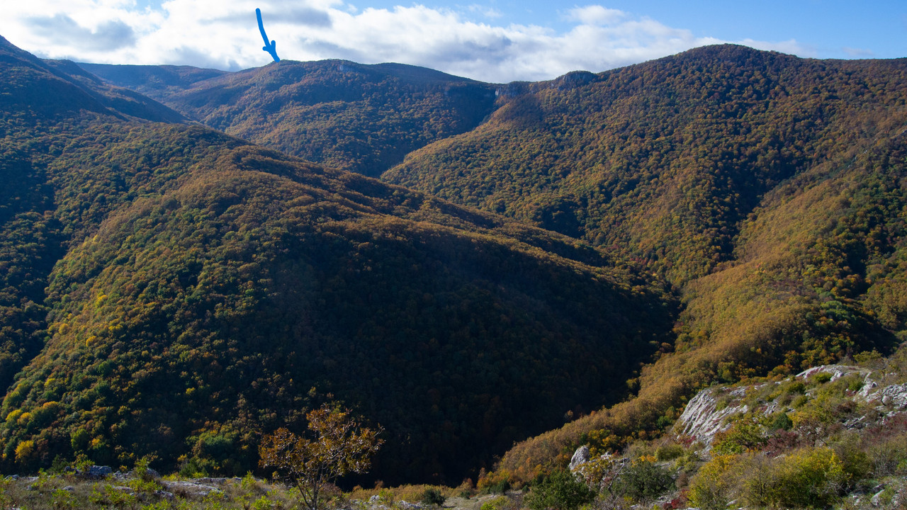 DSC_9289стрелка