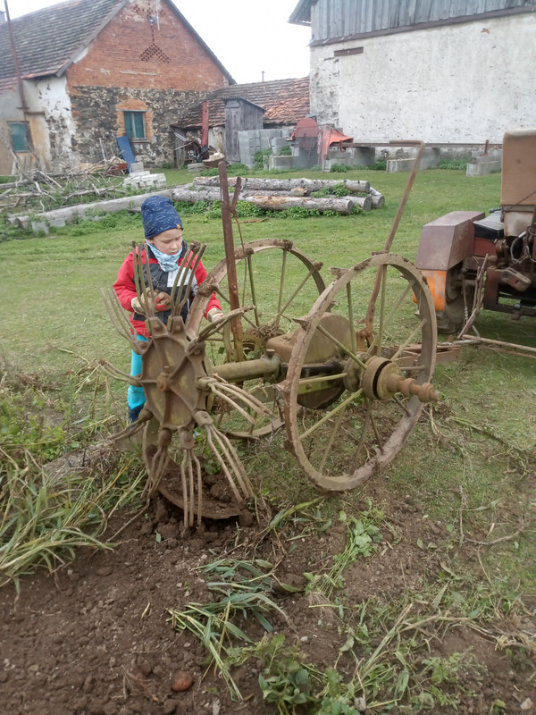 IMG_20251004_143155_416