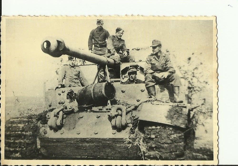TANK PANZER JAGDPANZER TIGER (P) ELEFANT FERDINA
