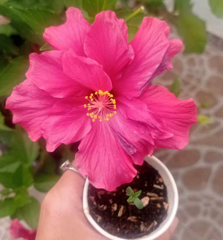 322941905_902114360811996_2022468052698484592_n