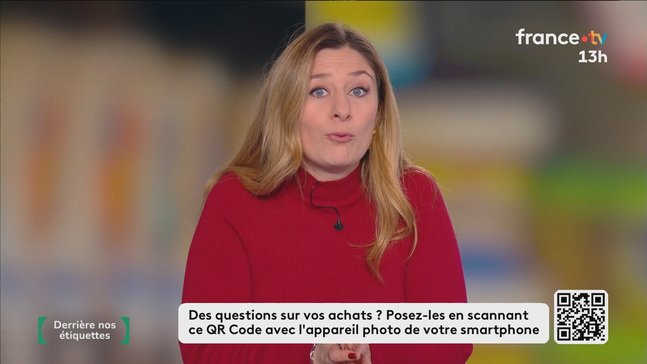 Journal 13h00 (France 2) 2026 01 27 11 55 73 ts snapshot 36 50 646