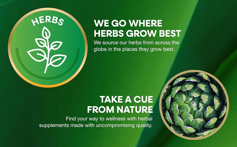 08273c1b f0ce 4451 b02e 0dd3386b9597 CR0 0 1940 1200 PT0 SX970 V1