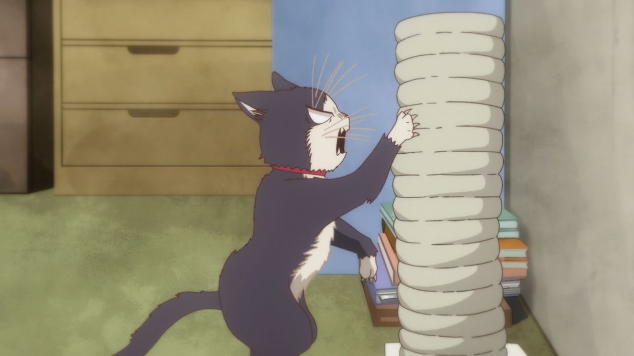 Arukoru-Doukyonin-wa-Hiza-Tokidoki-Atama-no-Ue-My-Roommate.png