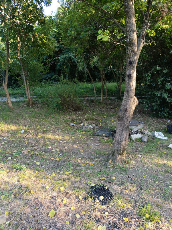 f4622e0d-418d-4631-b141-f19eedaf42b1