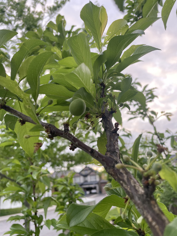 CFE05F46-7FD1-47AD-9A15-2C4F754ADD5D