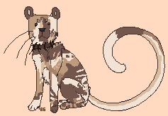 Cat-MS-Paint.png