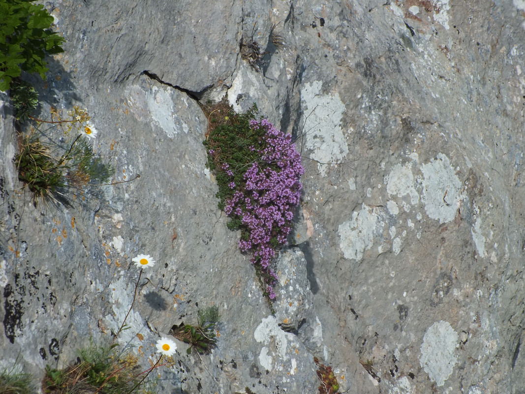 2019_0609STRAŻOWSKIE0052