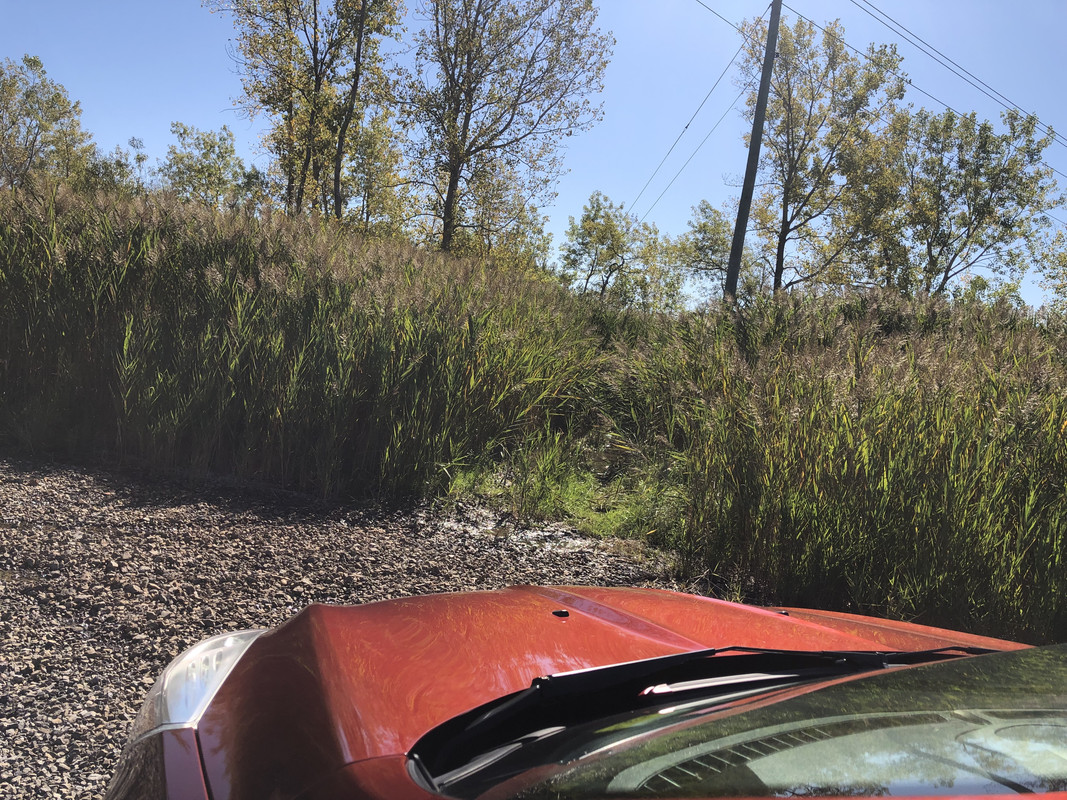 EAF281B1-05E0-4123-85BB-7F71DF81D82C