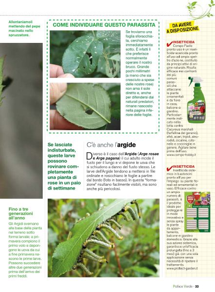 Pol Verde Apr 2020 (8)