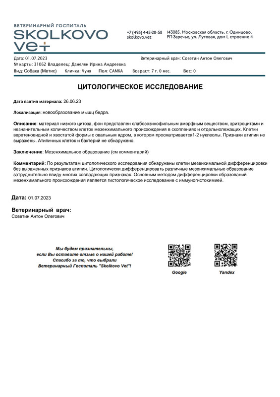 Цитологическое Исследование - Собака Чуня - #3106214BE9315534C4BACB5974814ED77AE3F (pdf.io)